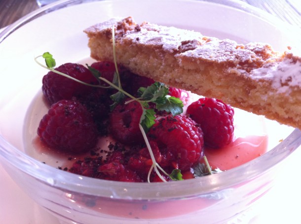 Raspberry panna cotta at Arbutus