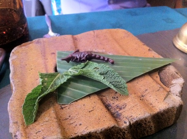 chocolate scorpion at Archipelago