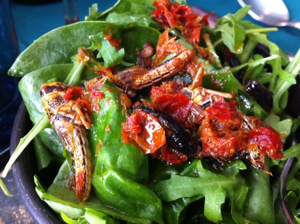 locust salad at Archipelago