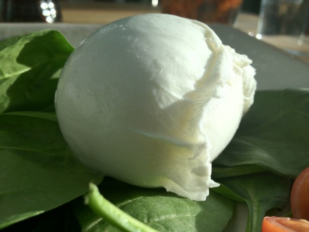 buffalo mozzarella at Obika buffalo mozzarella at obika
