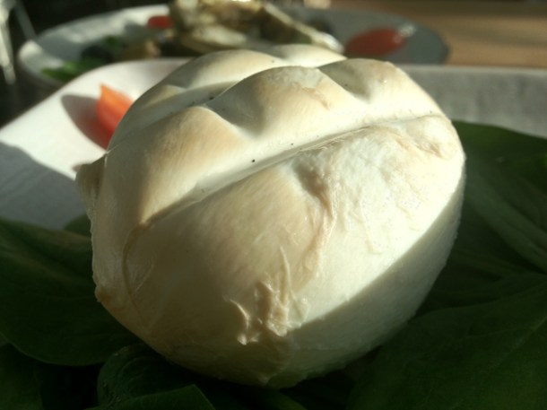 smoked buffalo mozzarella at Obika smoked buffalo mozzarella at obika