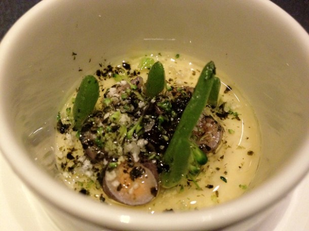 mushrooms in cauliflower cream at Sauc mushrooms in cauliflower cream at saüc