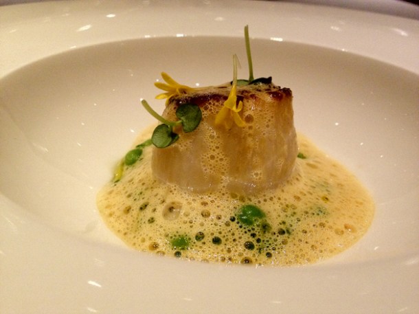 scallop with peas in saffron butter at Sauc scallop with peas in saffron butter at saüc