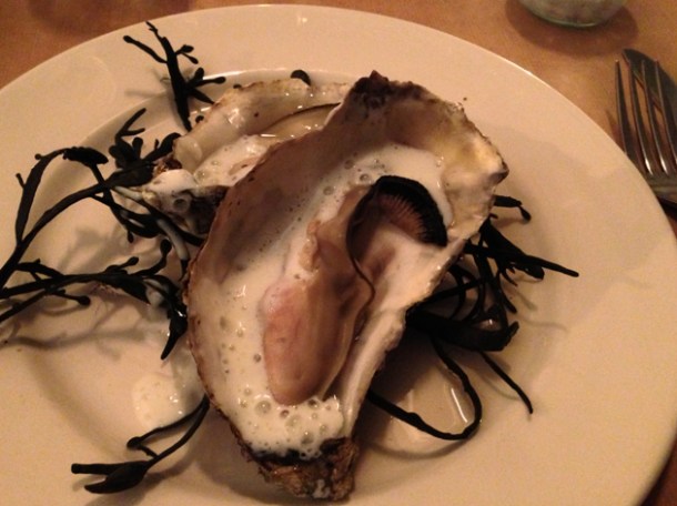 buttermilk oysters at season