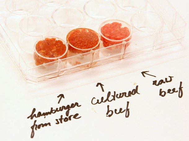cultured beef grown in the lab compared to traditionally grown beef