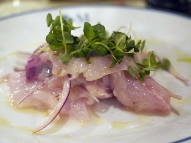 sea bass ceviche at rex and mariano