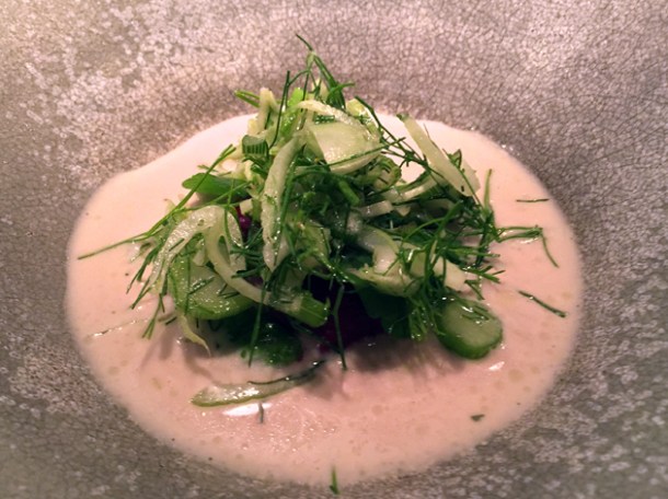 fennel and beetroot with pumpkin seed milk at nobelhart and schmutzig