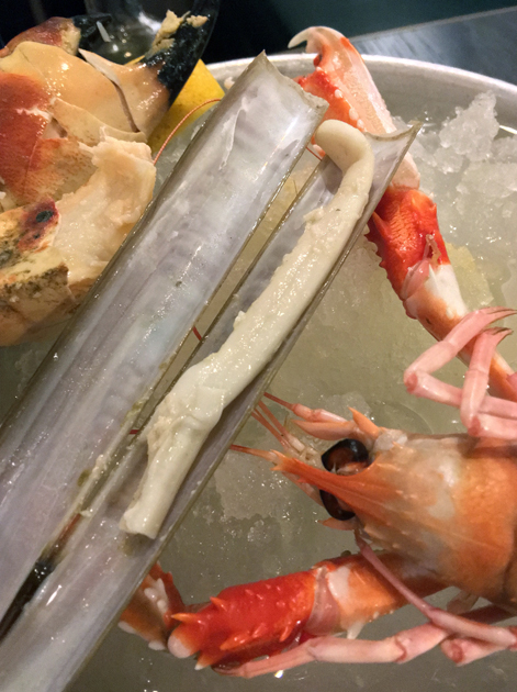 razor clam and langoustine at rick stein barnes
