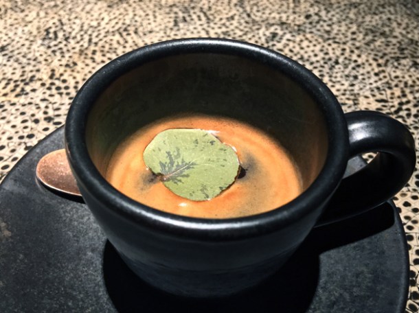 eucalyptus espresso at ella canta