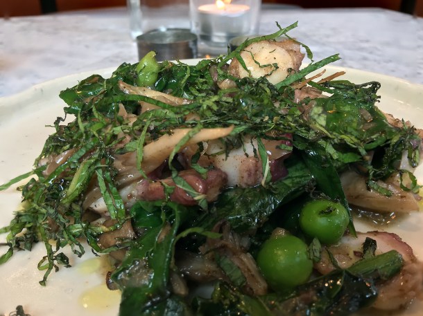 octopus at kyseri london