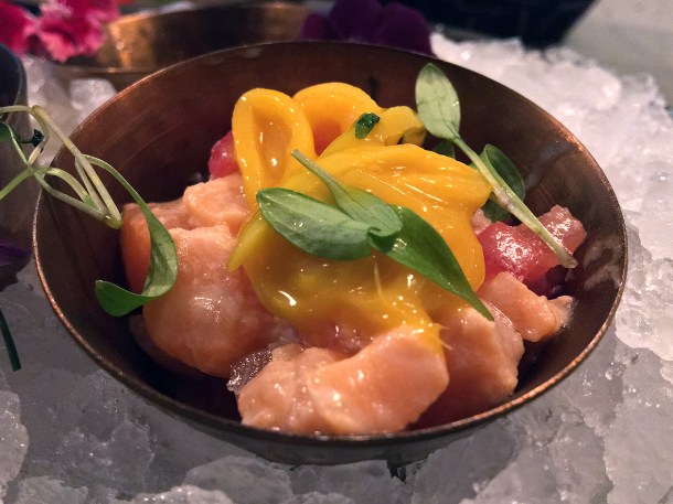 illustrative photo of the salmon ceviche at Madera Treehouse