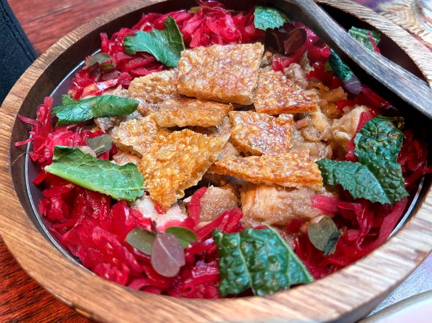 illustrative photo of the carnitas at Fonda