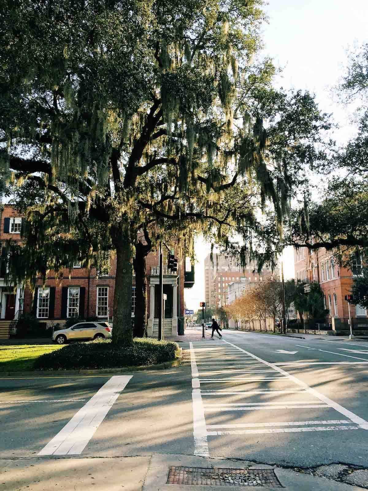 Street view in North Carolina.